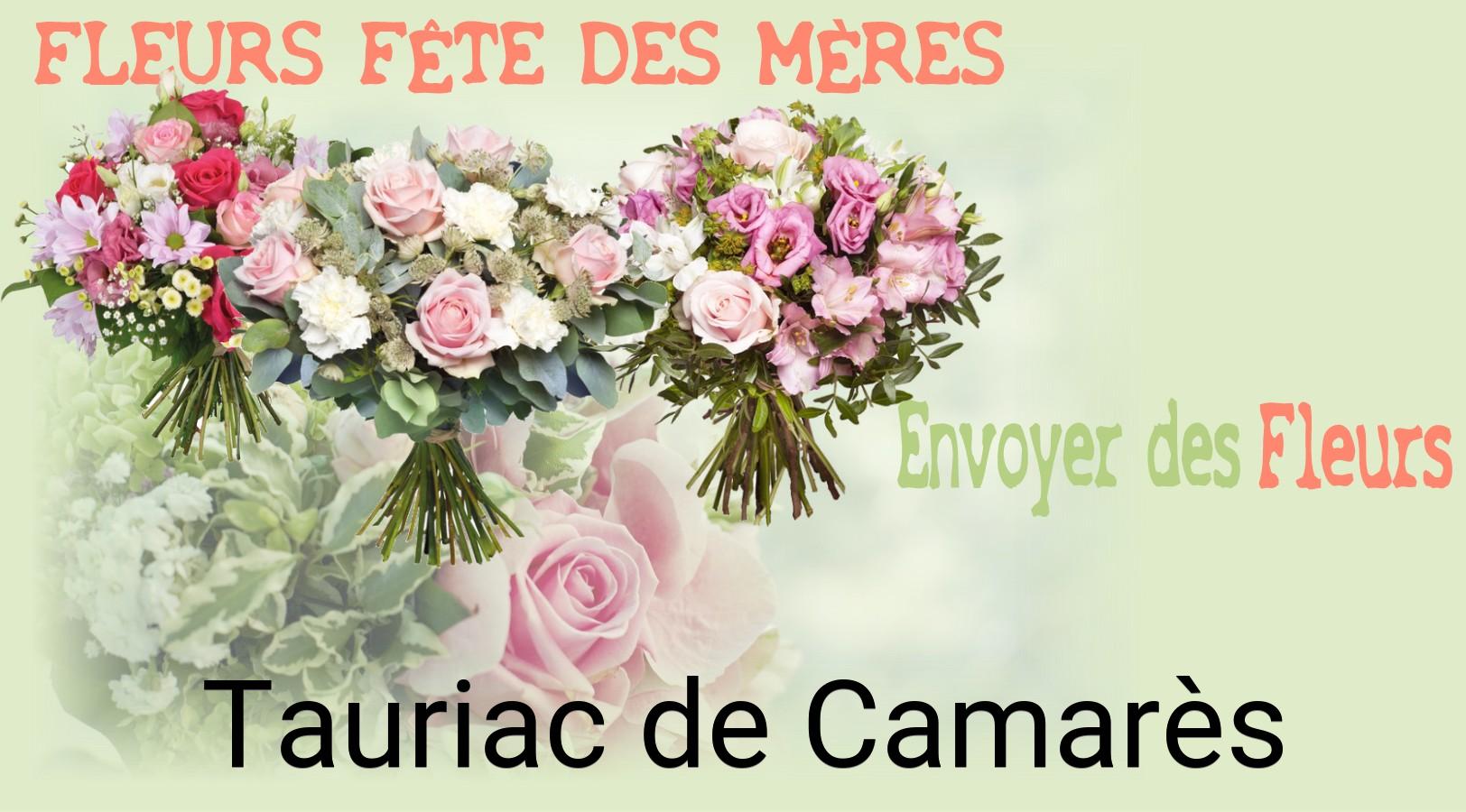 Bouquet de Fête des Mères livré à Tauriac-de-Camarès